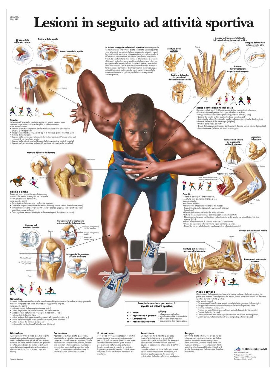 3B Scientific – Laminated Knee Joint Chart – Anatomy & Pathology – UV & Dust-Protected Poster for Study, Teaching & Clinics