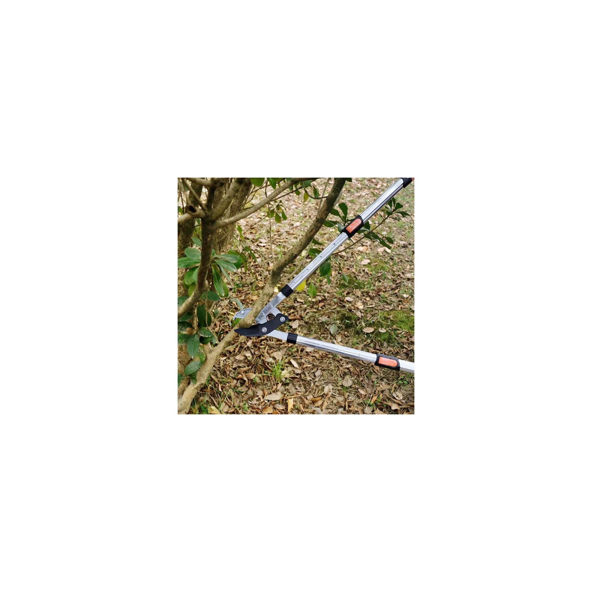 Coupe branche lame enclume - Suan - Manche télescopique - Dimensions : 87 x 34 cm