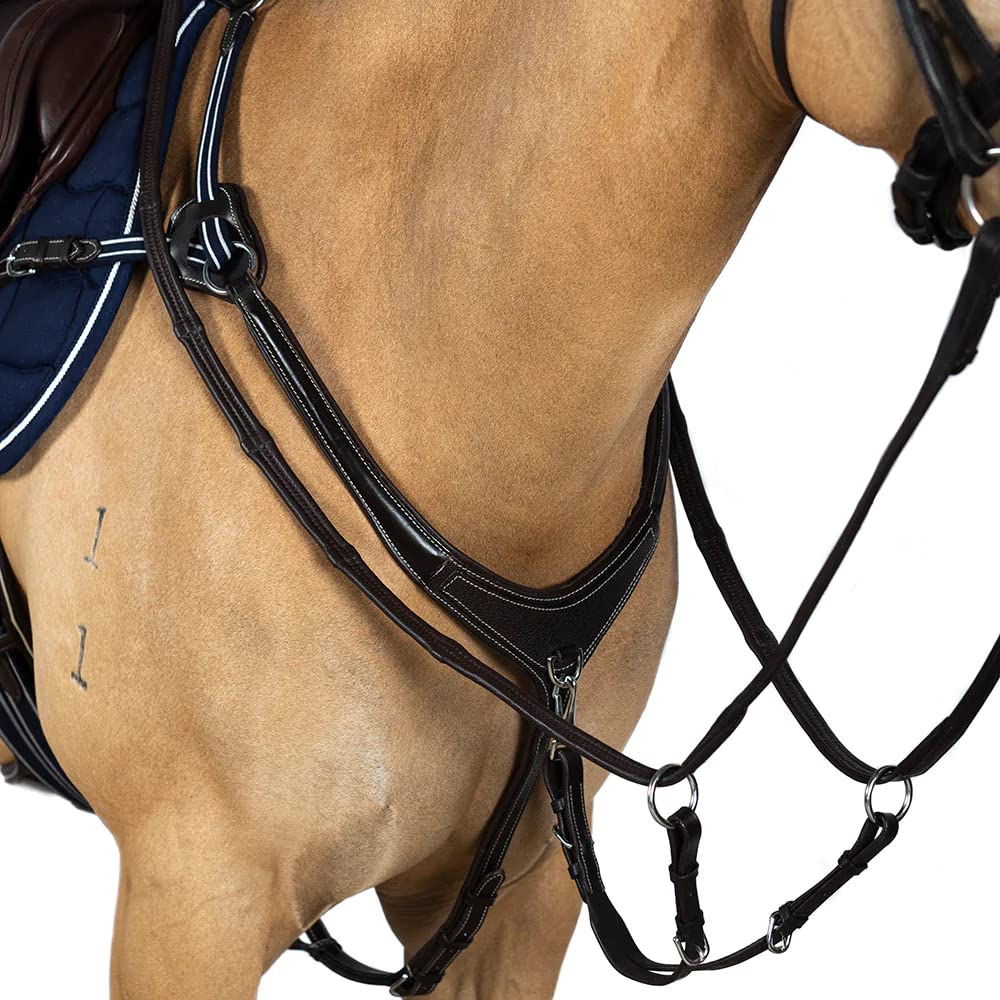 Precision Jump 5 Point Breastplate Havana with Blue and White Elastic Pony