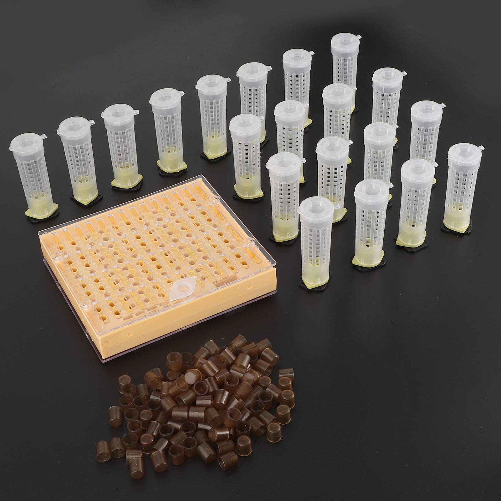 Kit D'élevage De Reine des Abeilles,Kit Elevage De Reine,Outil De Kit De Greffe D'apiculture, Kit De Tasse De Cellule D'élevage en Plastique De Cage De Boîte D'élevage De Reine des Abeilles