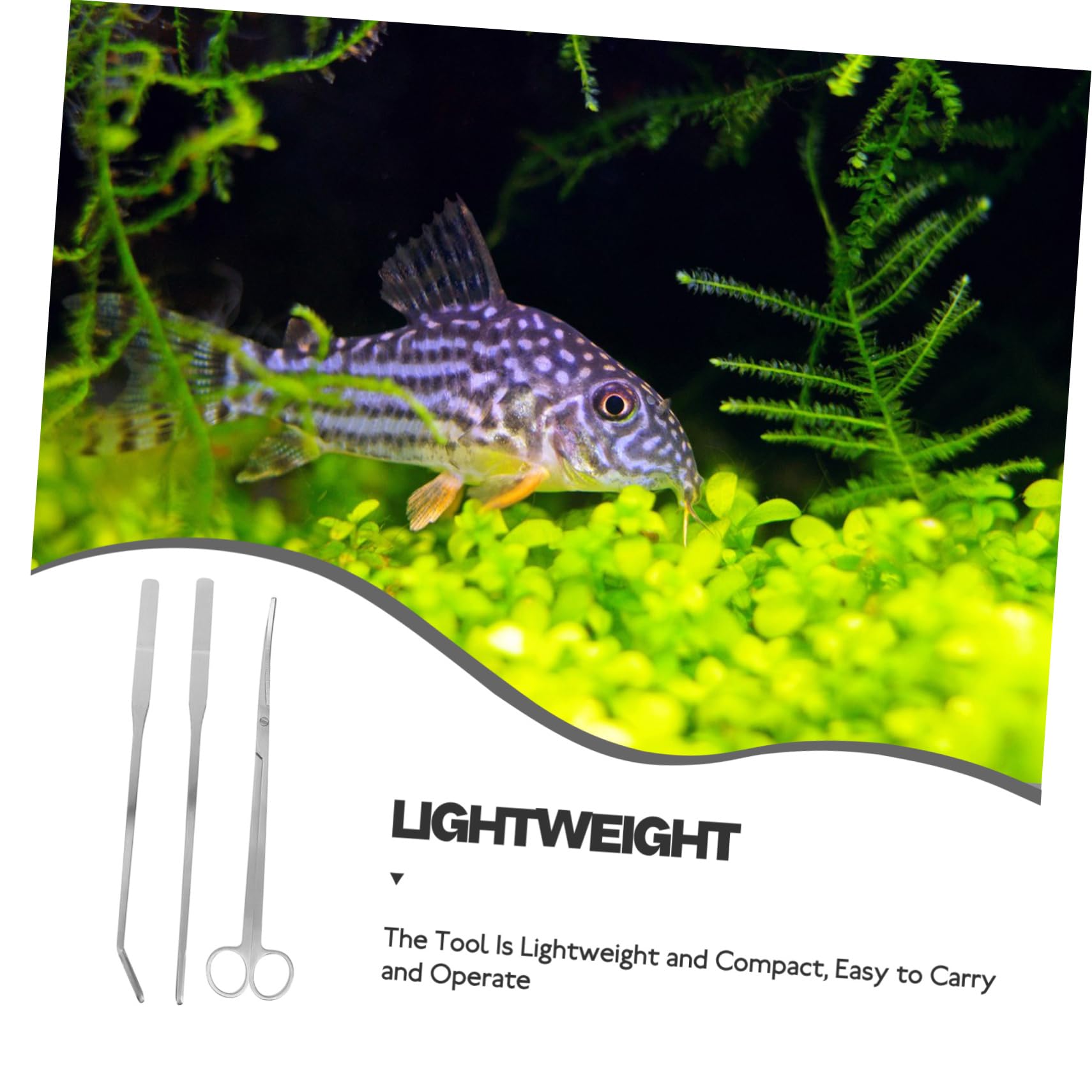 BESPORTBLE 4sätze Aquarium Pflanzen Werkzeugsatz Teiliges Edelstahl Für Aquarienpflege Inklusive Schaufel Gebogenen Scheren Und Pinzetten Für Pflege Von Wasserpflanzen Und Fischbecken