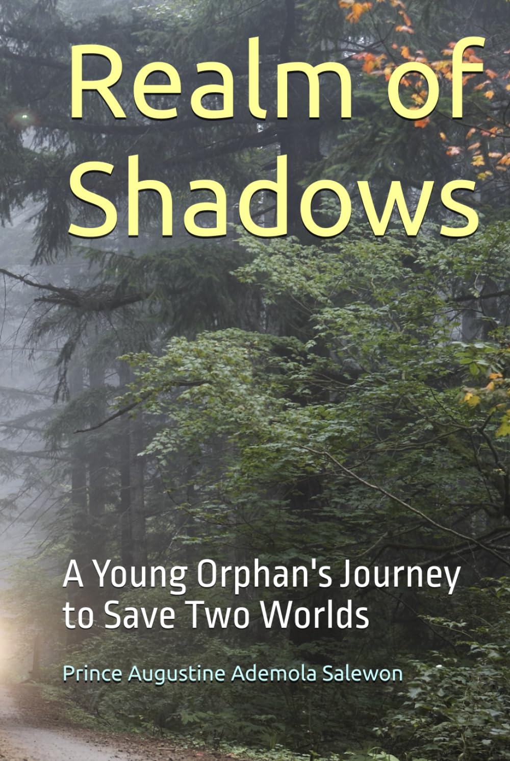 Realm of Shadows: A Young Orphan's Journey to Save Two Worlds