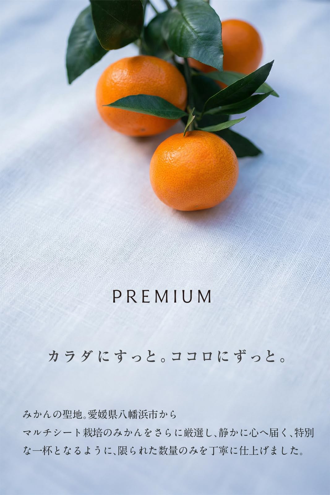 Amazon.co.jp: ぷらと果樹園 MIKAN10ce 100％ストレートジュース 720ml