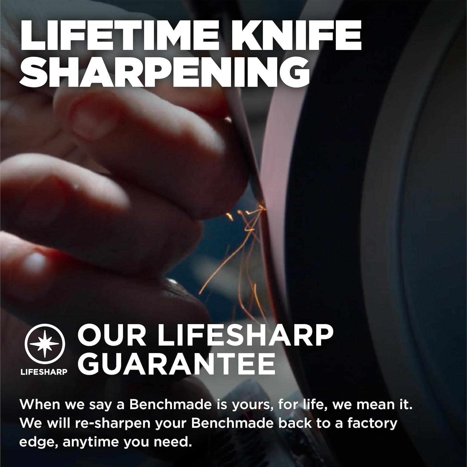 Benchmade - Mini Freek Outdoor EDC Knife, Drop-Point Blade with Black Carbon Fiber Handle (565-1)