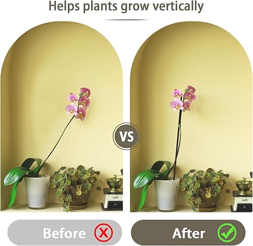 Miniatura 4 de LECAMEBOR - Estacas para plantas, 20 estacas flexibles para orquídeas de un solo tallo para plantas de interior y exterior, plantas en maceta,