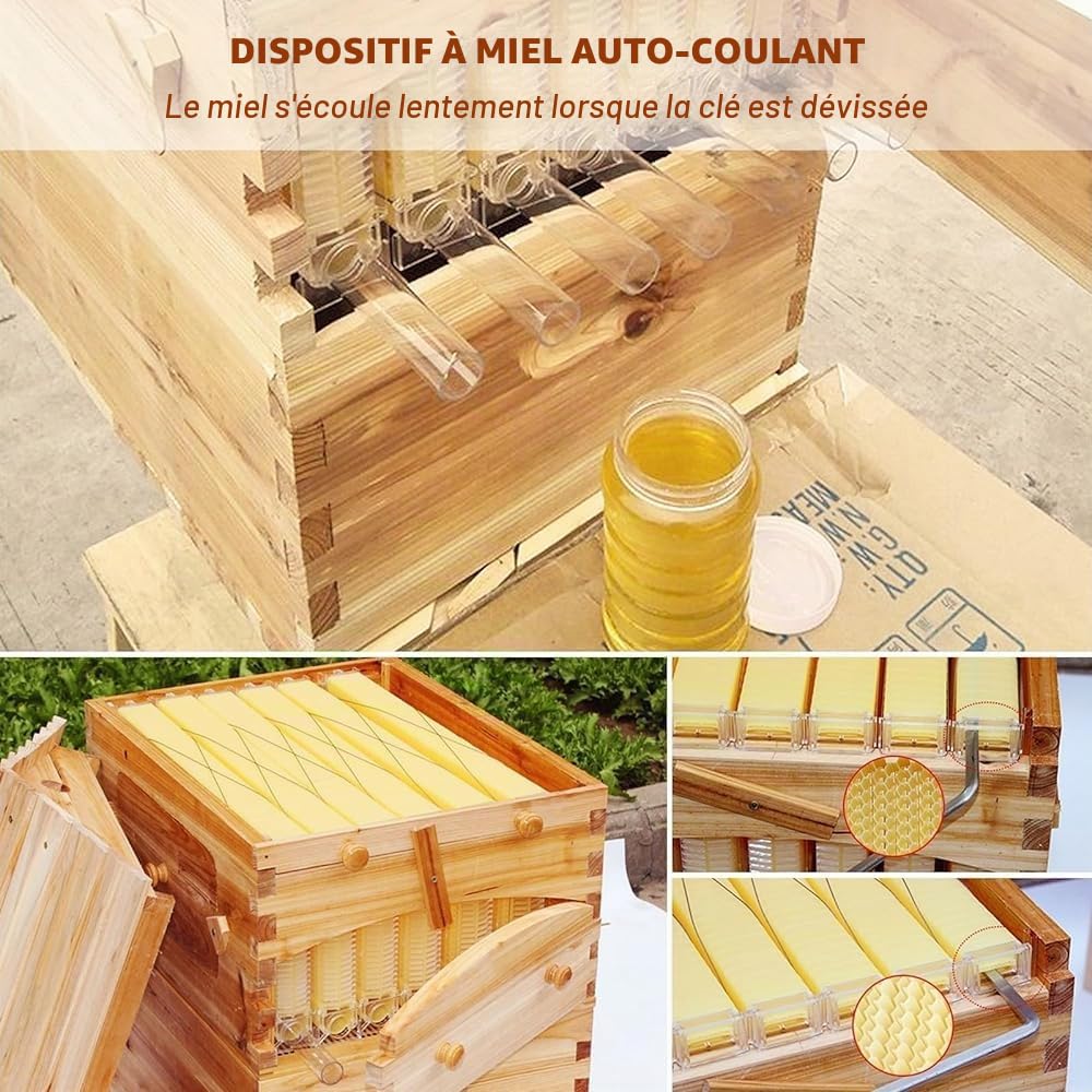 Beehive Kit de ruche automatique en bois avec 7 nids d'abeilles et cadre de qualité alimentaire sans BPA pour débutants et apiculteurs professionnels