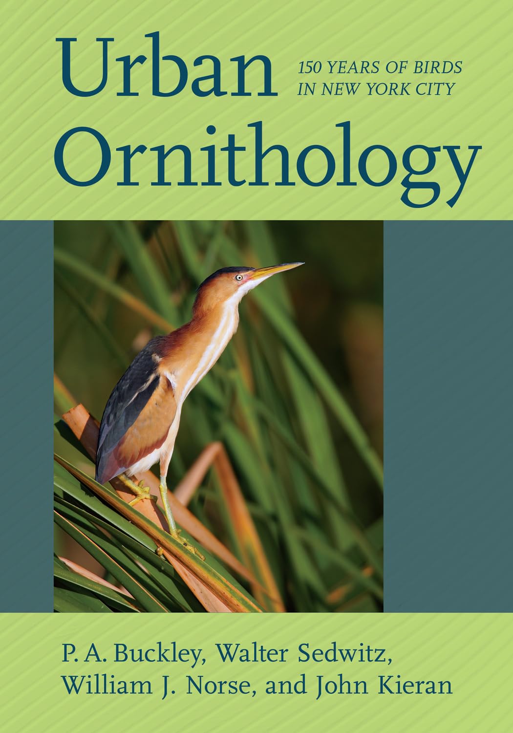 Buy Urban Ornithology: 150 Years of Birds in New York City — BookShops.in
