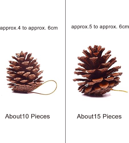 Miniatura 2 de Whaline 25 piezas de conos de pino de Navidad de 1.6 a 2.4 pulgadas con cuerda, piñas rústicas naturales a granel adornos para manualidades para