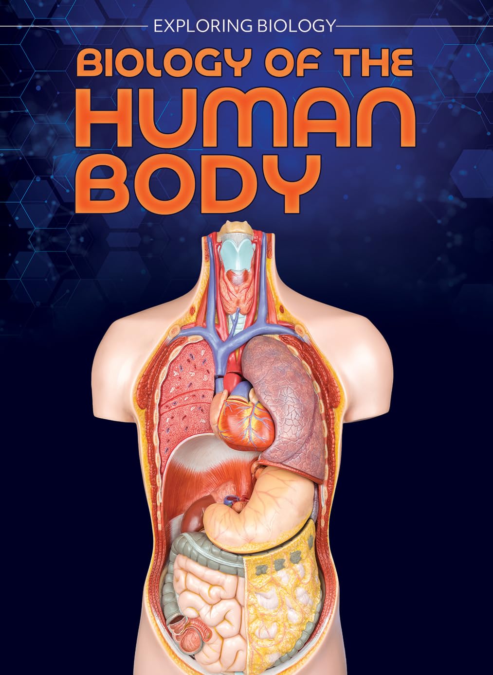 Biology of the Human Body (Exploring Biology)      Library Binding – August 1, 2025