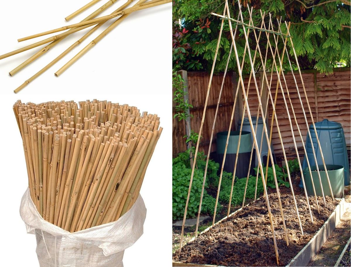 Bamboo Sticks for Plants, 4feet (Pack of 9) (B0CJ791LT7) Amazon Price History, Amazon Price Tracker