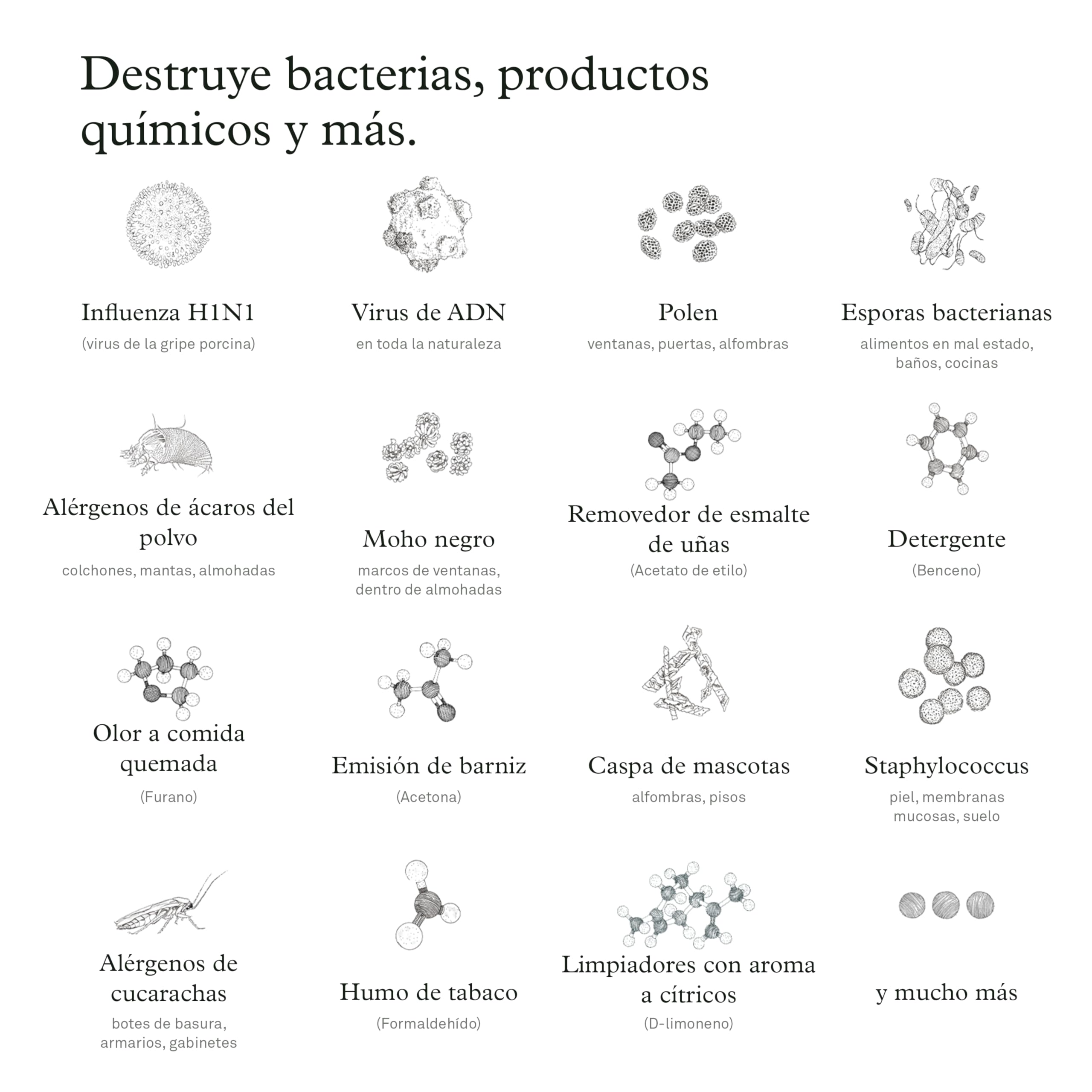 Molekule Filtro PECO para Purificadores de Aire Mini y Mini+ - Filtro de Reemplazo, Destruye Virus, COV, Alérgenos, Bacterias, Moho, Humo - Nanotecnología Avanzada, Reemplazo cada 6 Meses