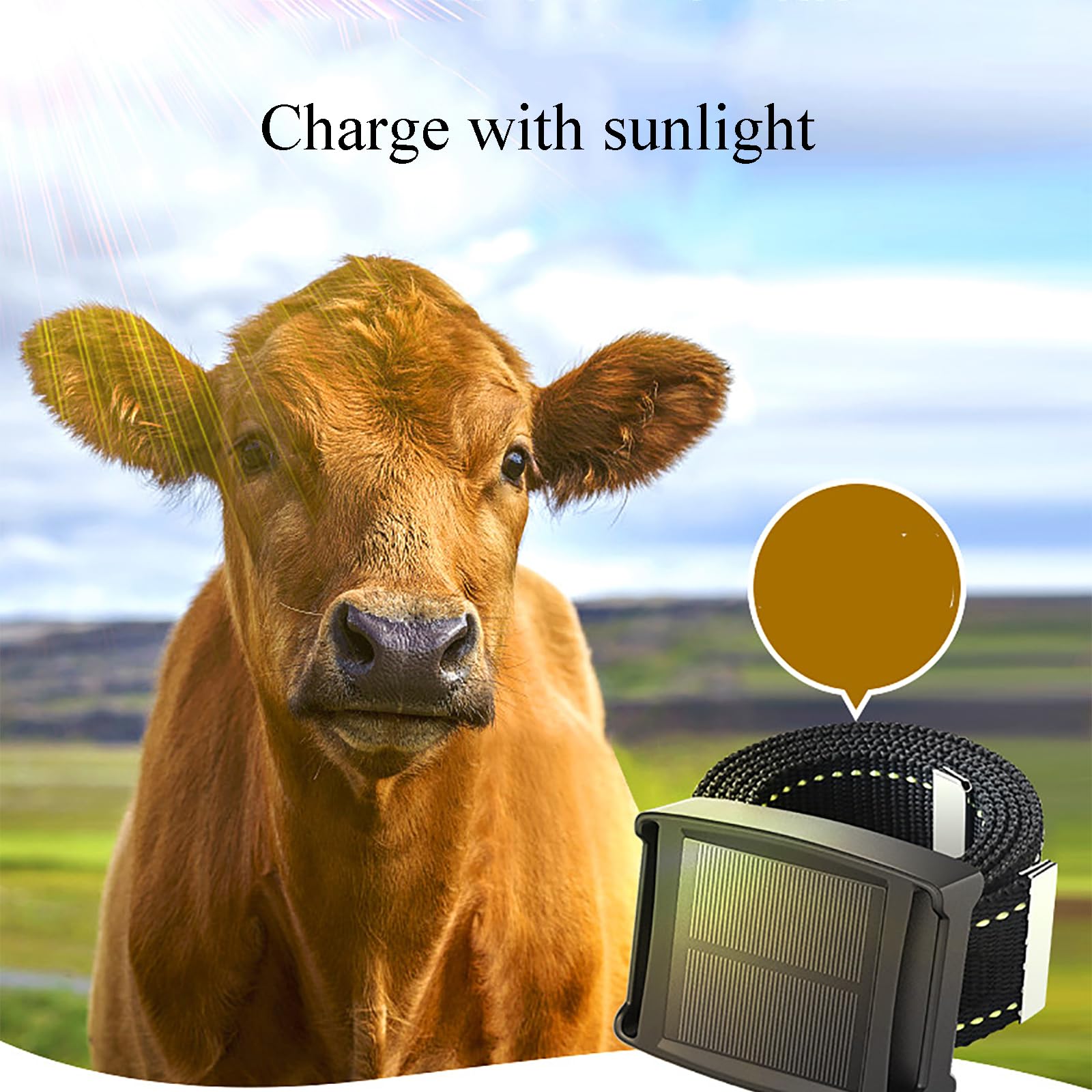 Rastreador GPS Para Animales, Localizador Solar Animales, Distancia: 2-10 M/posicionamiento Tiempo Real/impermeable/2 Métodos Carga/2 Métodos Alarma/energía Solar, Utilizado Para Rastrear Ganado