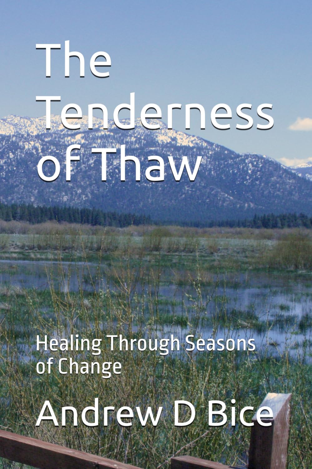 The Tenderness of Thaw: Healing Through Seasons of Change (The Inner Season)