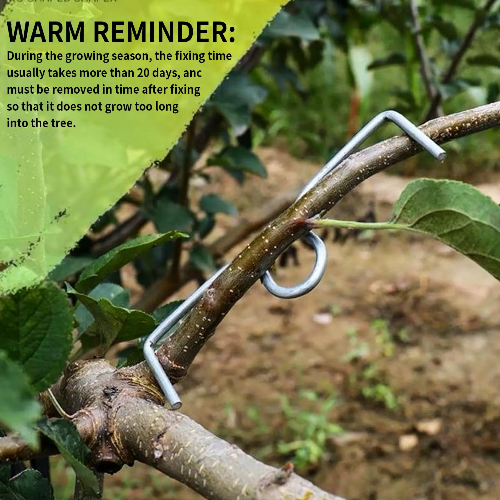 30 Pezzi Supporti Per Rami Da Frutto - In Filo Zincato, Ideali Per Meli, Peri E Ciliegi