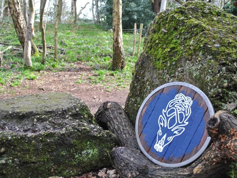 Scudo medievale in legno vichingo Skyrim Falkreath Hold Shield replica, Blu/Bianco, 24 Inch