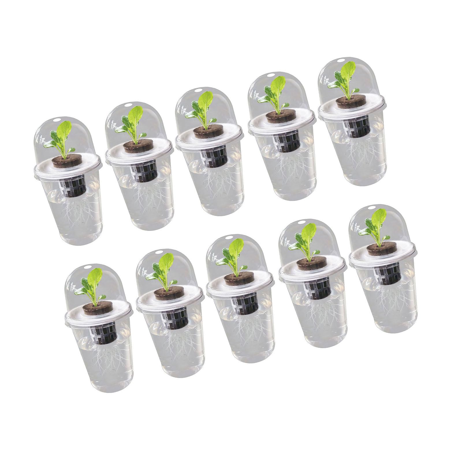 Pot de fleurs transparent pour éviter le pourrissement des racines