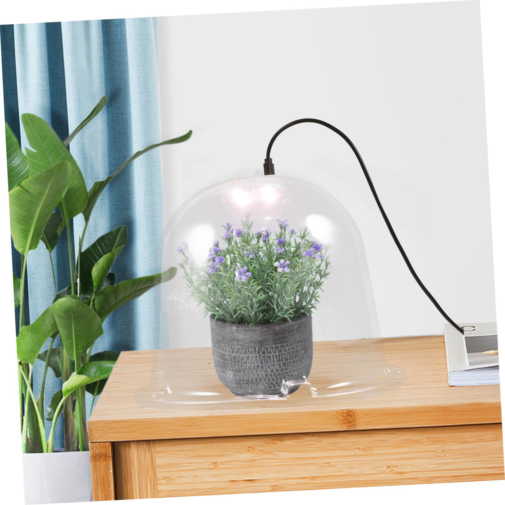 Toyvian 5 Stück Teiliges Pflanzenschutz Pet Transparente Gewächshausabdeckung für Topfpflanzen Schützt Frost für Gartenliebhaber und Pflanzenpflege
