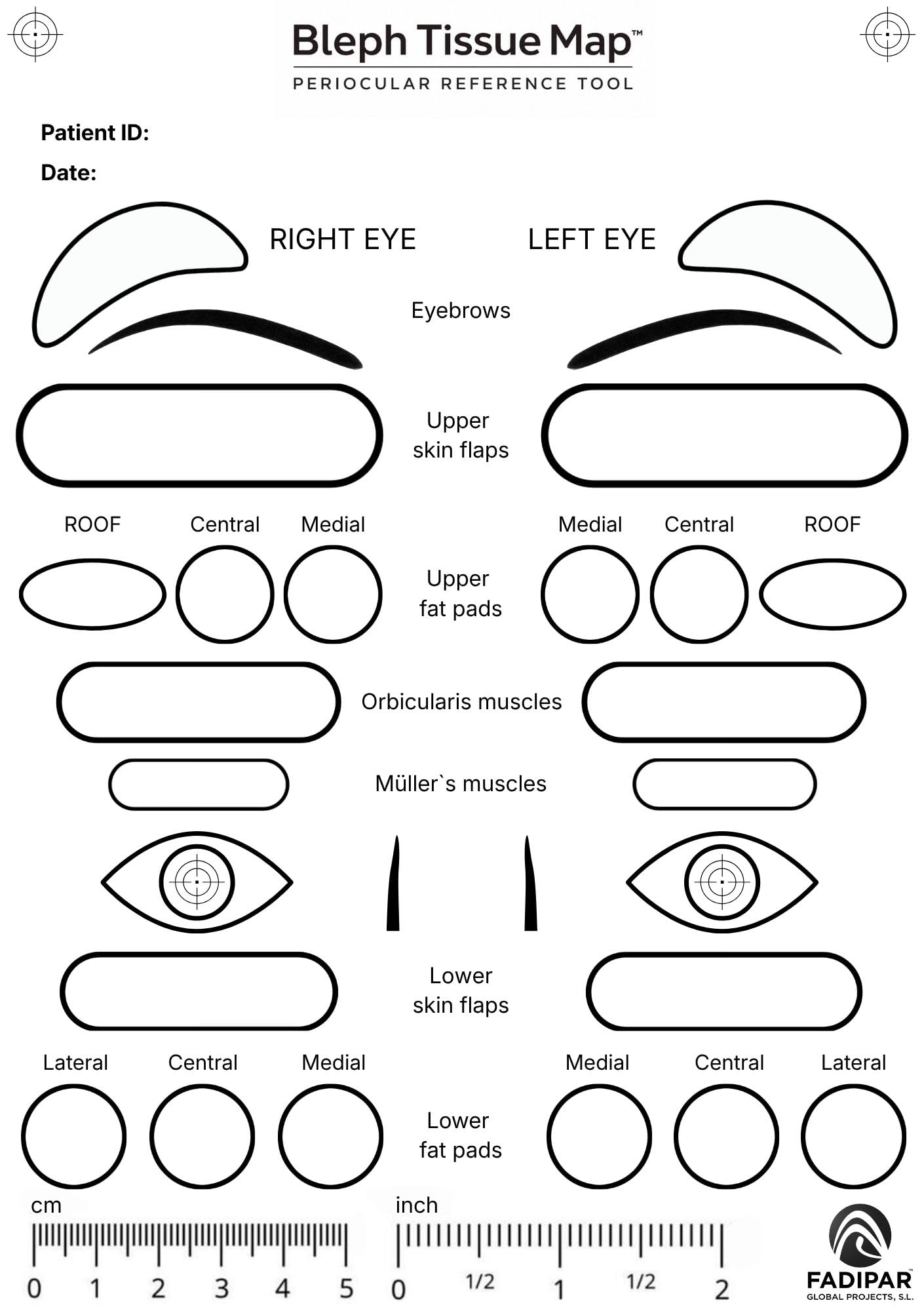 BLEPH TISSUE MAP