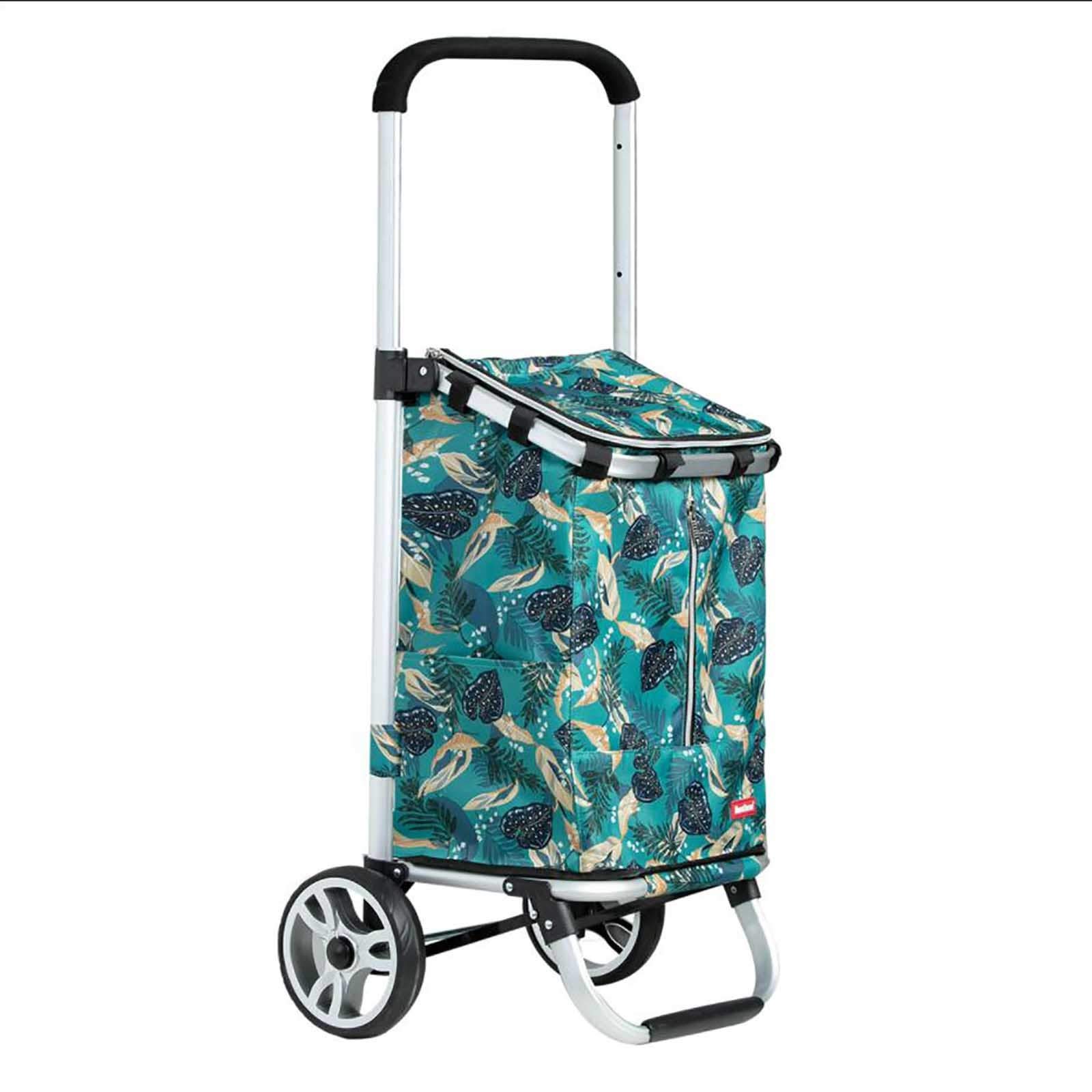 Shopping Trolley,Folding Shopping Trolley on Wheels with Detachable Bag and Foldable Design, Max Capacity 30 kg,Push/Pull (Color : B)