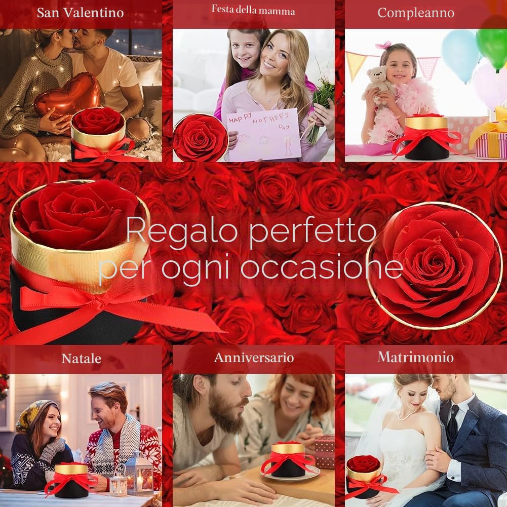 RANJIMA Rosa Stabilizzata Regalo Donna, Festa della Mamma Idee Regalo, Rosa Eterna Regali per Donne Compleanno, Anniversario Fidanzamento, Fiori Stabilizzati Regali Mamma Fidanzata Moglie Sorella
