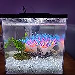 Review Image by Brooke Brooke