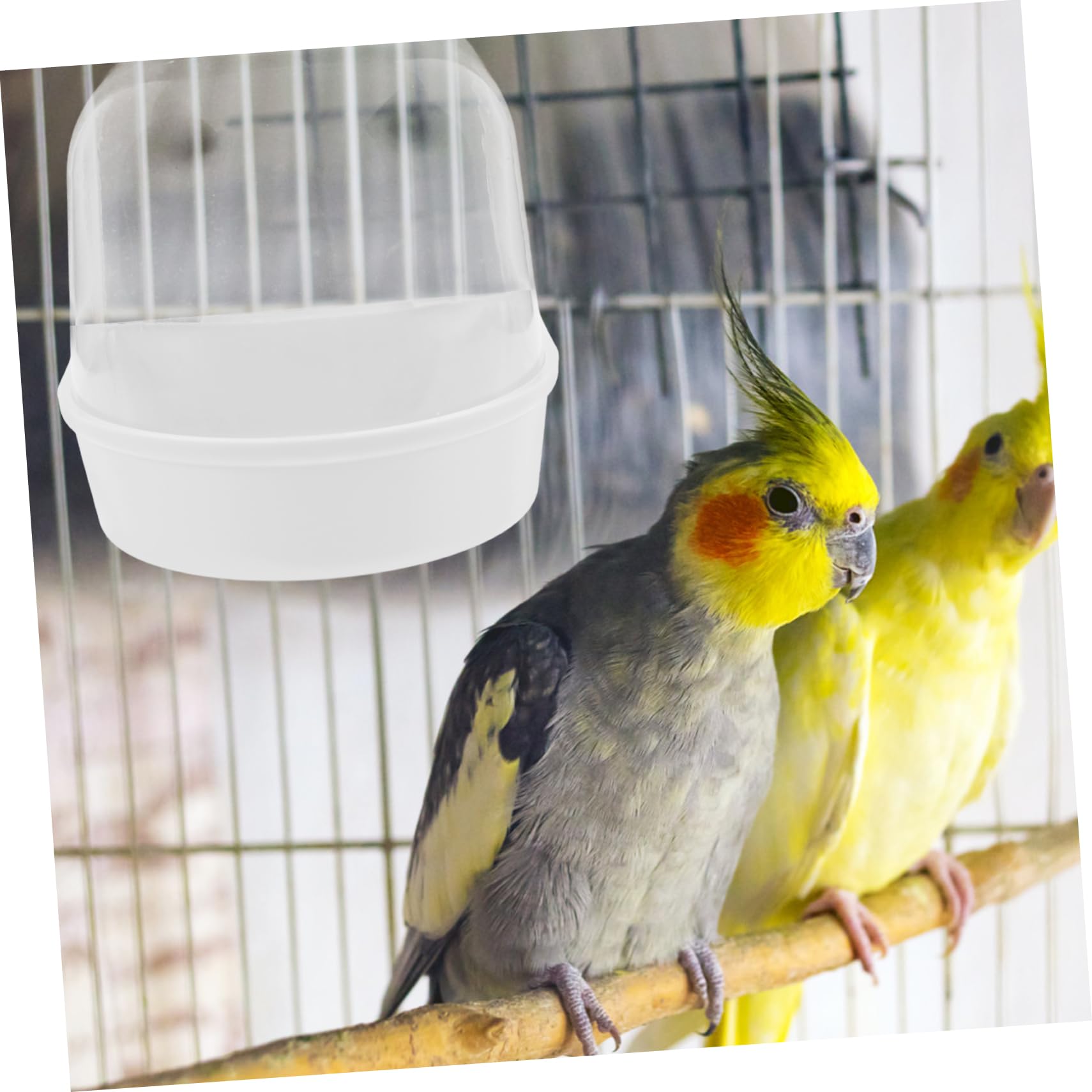 Bagno Per Uccelli Trasparente SUPVOX - Vaschetta Appesa Per Gabbie Di Pappagalli E Uccellini