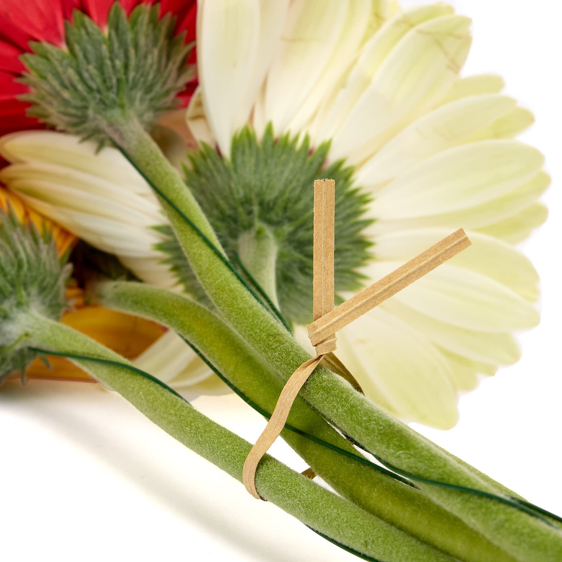 La cordeline 1000 Fascette Twisted Carta Kraft+Filo Metallico 15cm per Borse, bustine, fermacavo, Naturale