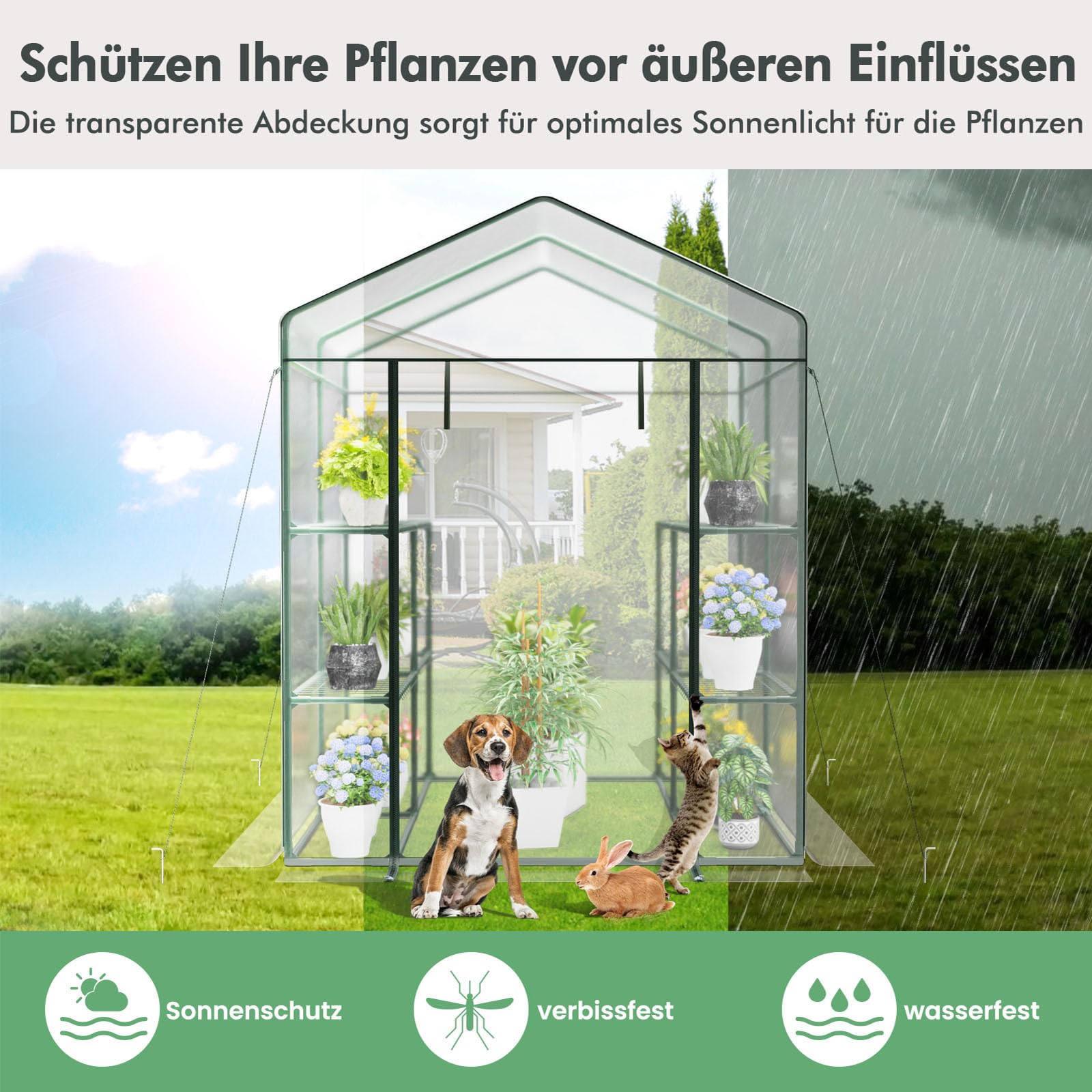 COSTWAY Gewächshaus, begehbares Foliengewächshaus mit 8 Regalen, Tomatenhaus mit PVC-Abdeckung & robustem Metallrahmen, Tomatengewächshaus für Tomaten, Gemüse, Pflanzen, 139 x 144 x 195 cm