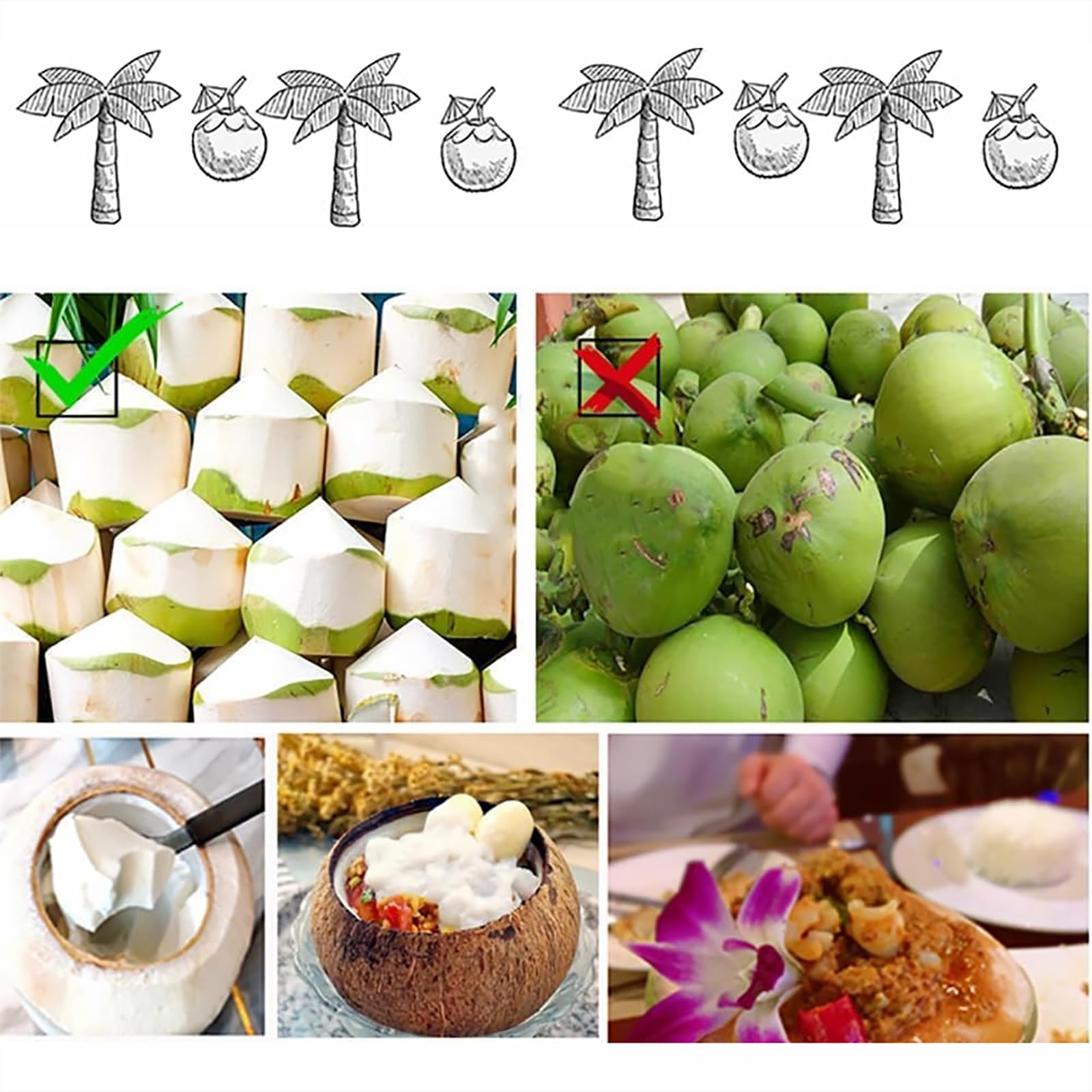Macchina Per L'apertura Del Cocco Verde, Apriscatole Automatico Per Il Cocco Con Finestra Di Osservazione Trasparente, Taglio Rapido 20 Secondi E Protezione Multisfaccettata, Per Negozi Di Frutta