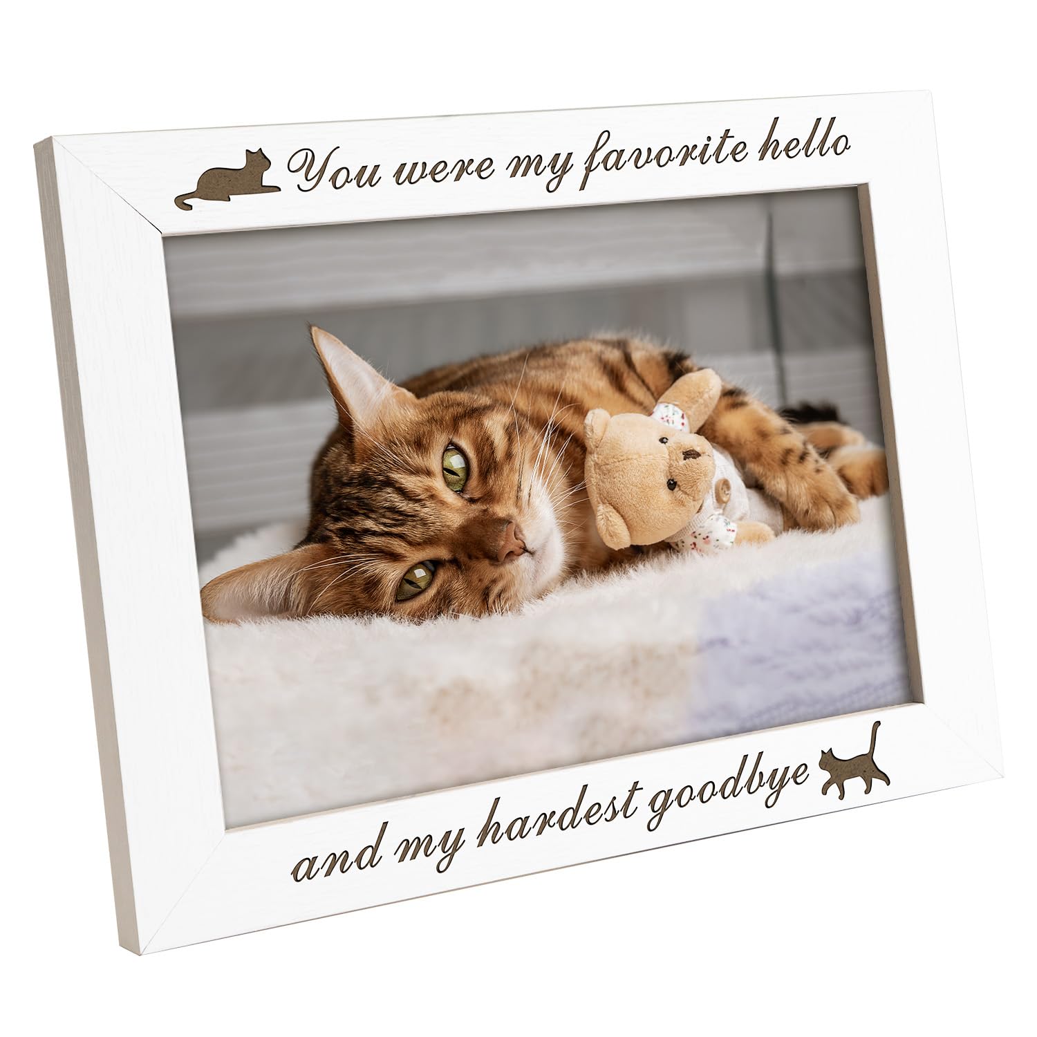Amazon.com: kullder Cat Picture Frame, Cats Memorial Gifts, Cats