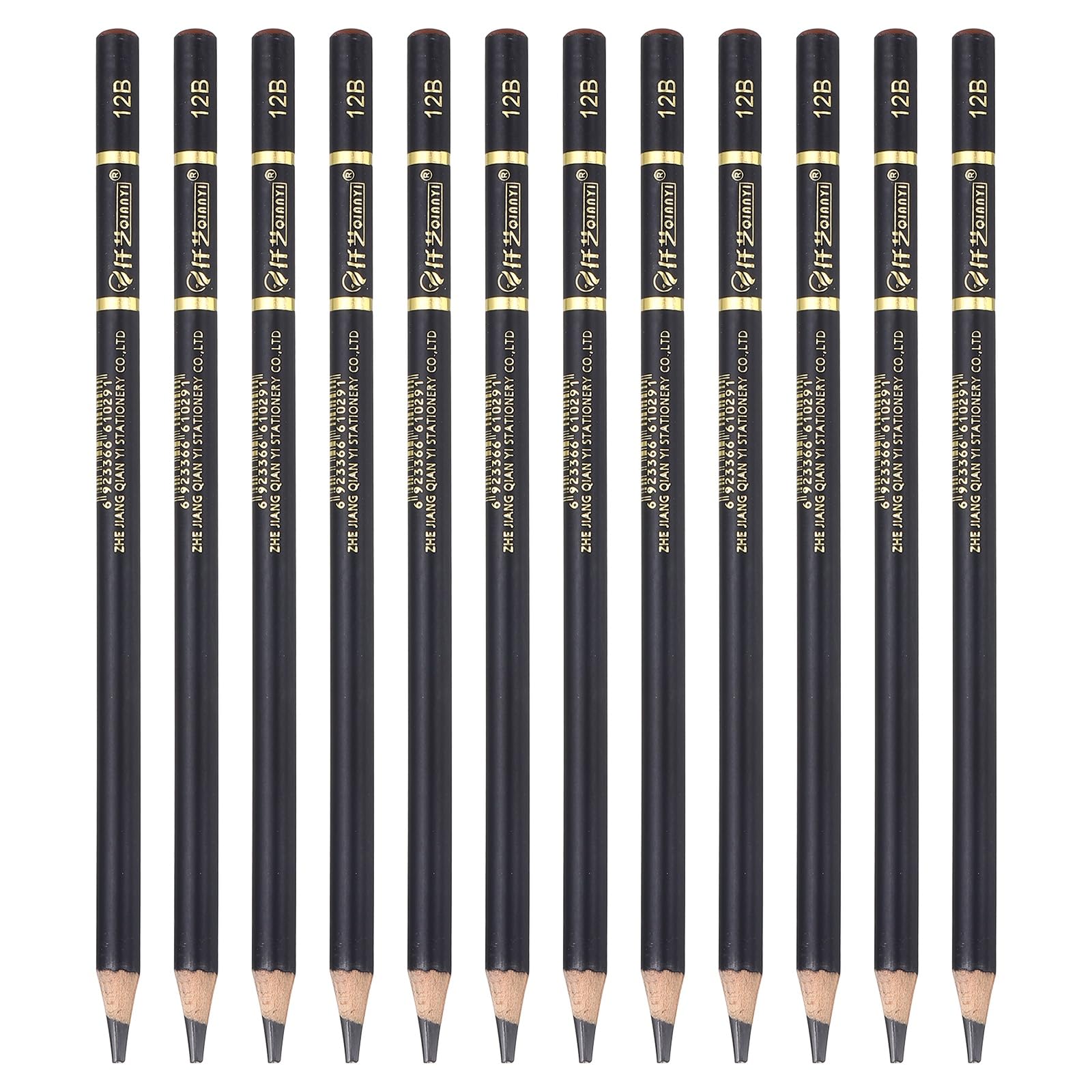 PATIKIL 12Pcs Graphite Pencils, Round 12B Refill Wood-case Sketching Pencils Pre-sharpened Sketch Art Supplies for Home Office Classroom Artist Painting Sketching Study, Black