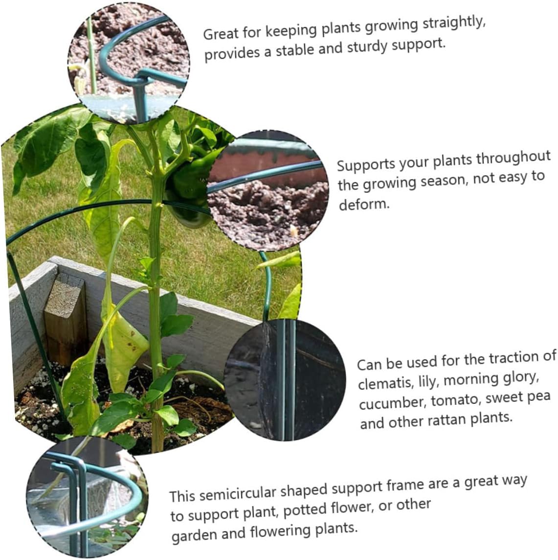 4pcs Hydrangea Plant Supports Half Plant Support Stand Coating for Garden Trellis Easy to up and Maintain