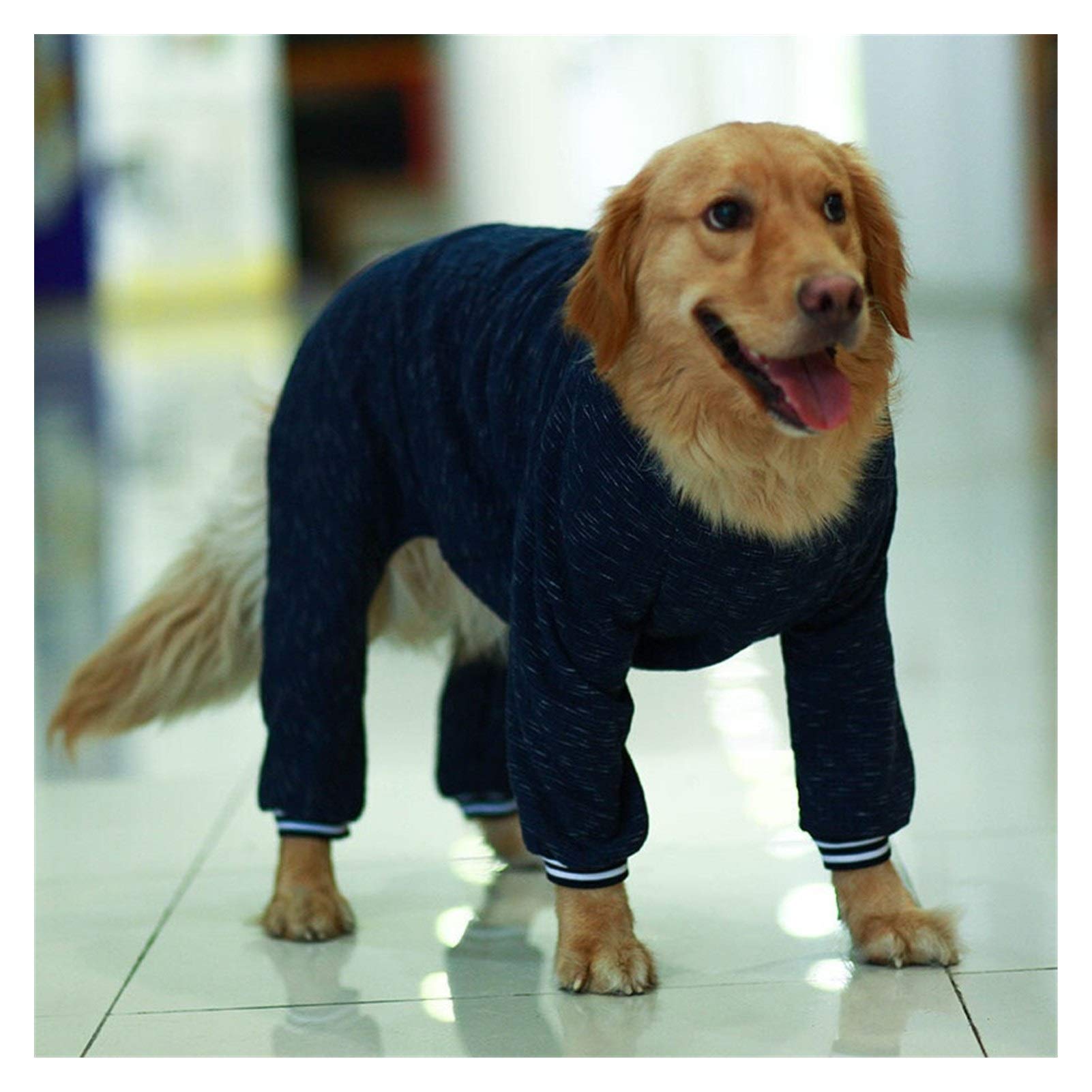 ジャケット・アウター dog バンドTシャツ 通販 DogTown,ドッグタウン,コーチジャケット