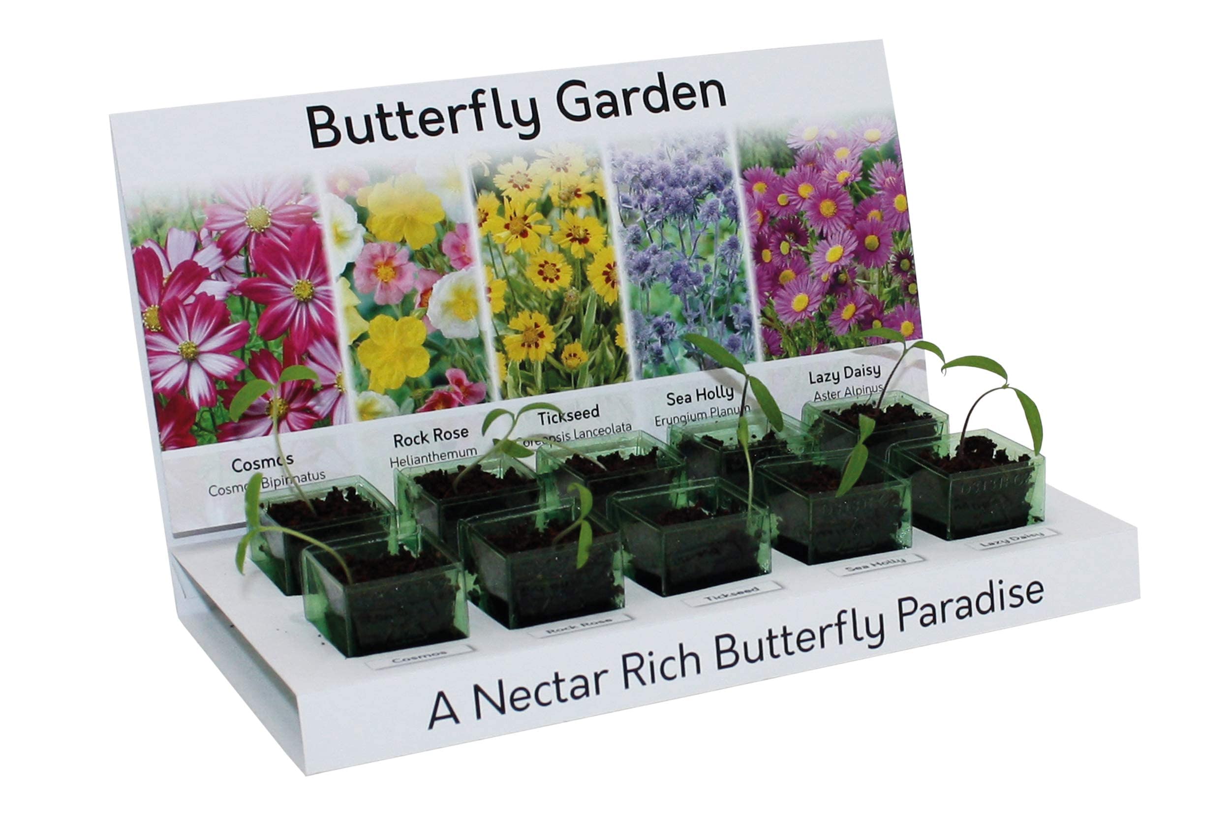 Butterfly Garden Grow Your Own Wild Flowers at Home Kit. Attract Butterflies with These Wild