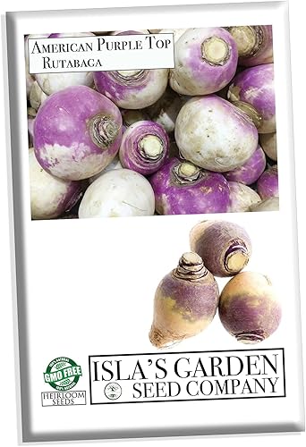 Rutabaga (parte superior púrpura americana), más de 150 semillas de reliquia por paquete, semillas de jardín de Isla (semillas de jardín de Isla),
