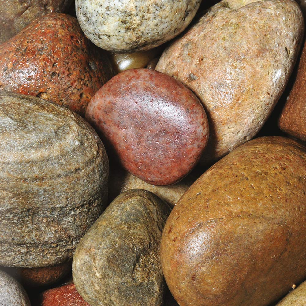 Decorative Aggregate Scottish Cobbles For Flowerbeds, Rockery, Paths, Driveways, Ground Cover, 50-80mm 1 x 20kg Bag by Thompson and Morgan