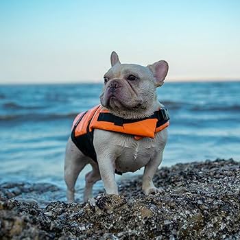 LIFEGUARD 大型犬用ライフジャケット カモフラージュ plusnao ライフガード ペット用 ライフジャケット 犬 猫 水遊び