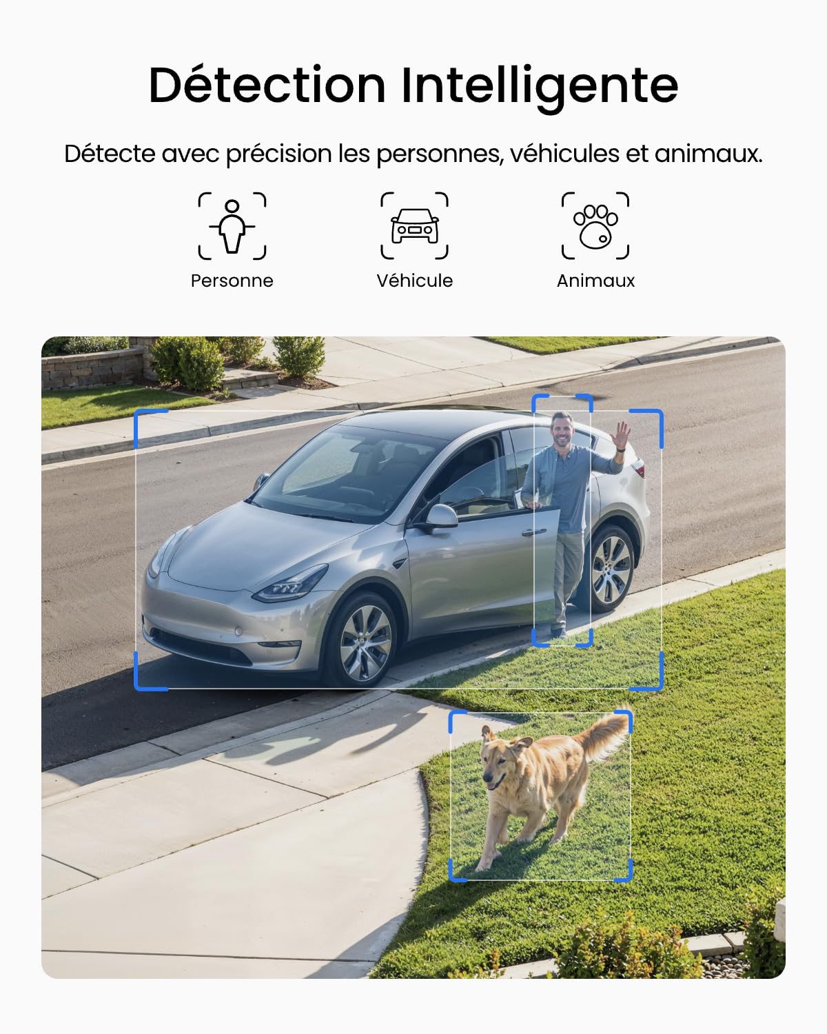 Reolink 3K 5MP Camera Exterieur sans Fil, Wi-FI 6 Double Bande, Argus Solar | Détection IA Personne/Véhicule/Animal, Vision Nocturne Couleur, Stockage Local sans Abonnement, IP67, Panneau Solaire Intégré