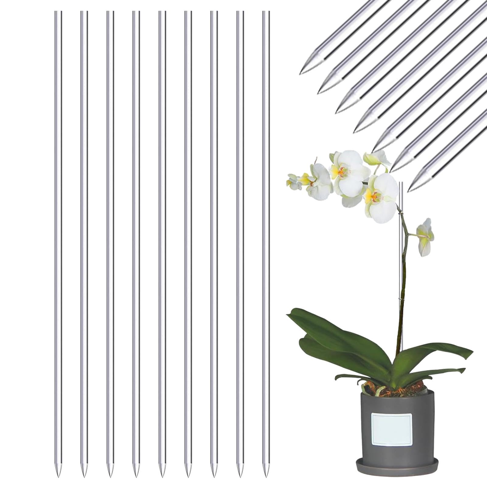 Asta per piante in vaso, in acrilico, 20 pezzi, pali in acrilico trasparente per piante rampicanti, barre di supporto universali per piante da giardino, per piselli, more, rose, tulipani, petunie