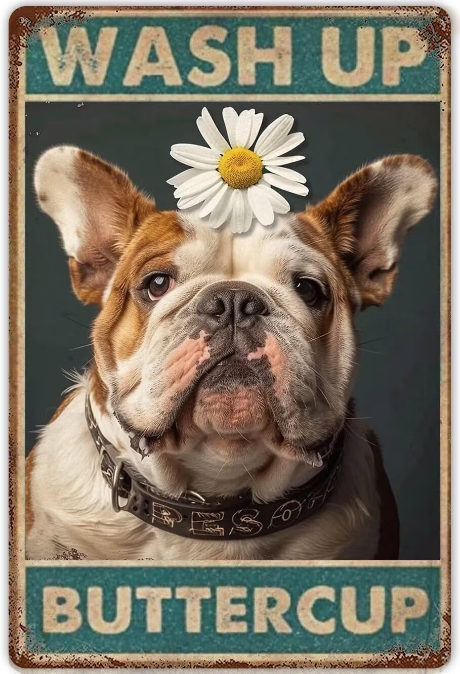 Anceky Bulldog Bathroom Signs Canvas Wall Art Painting Wash Up Buttercup Bathroom Decor Canvas Painting Vintage Posters Wall Art s For Bedroom Office Living Room Decor Unframed 12x16 Inch