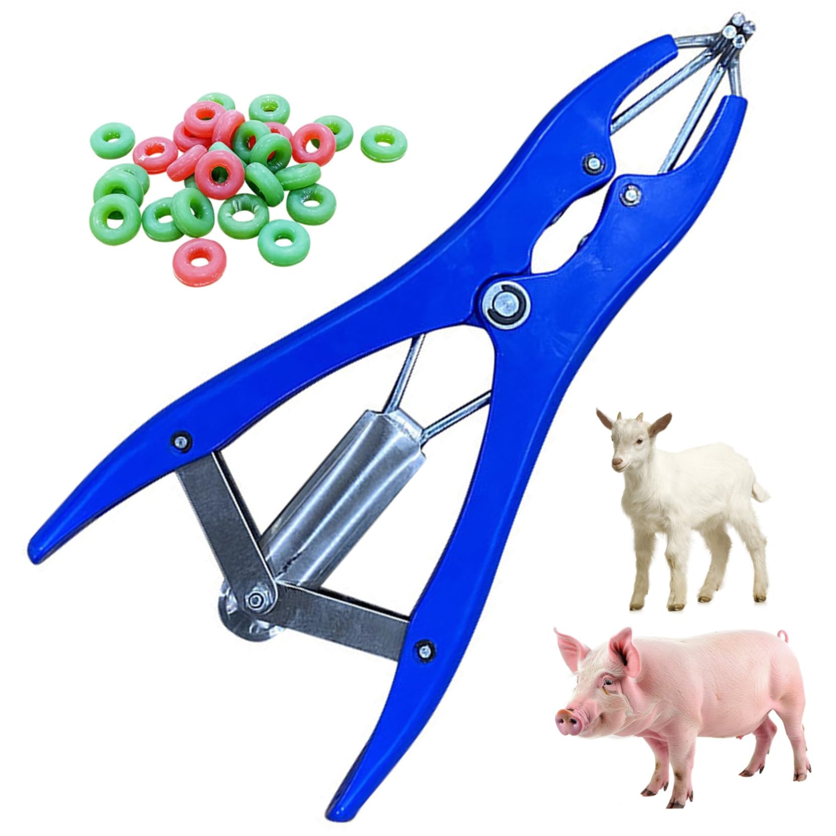 Strumento per castrazione, pinza elastica in plastica in acciaio inossidabile con 100 anelli gomma per suini, bovini, pecore, mucche