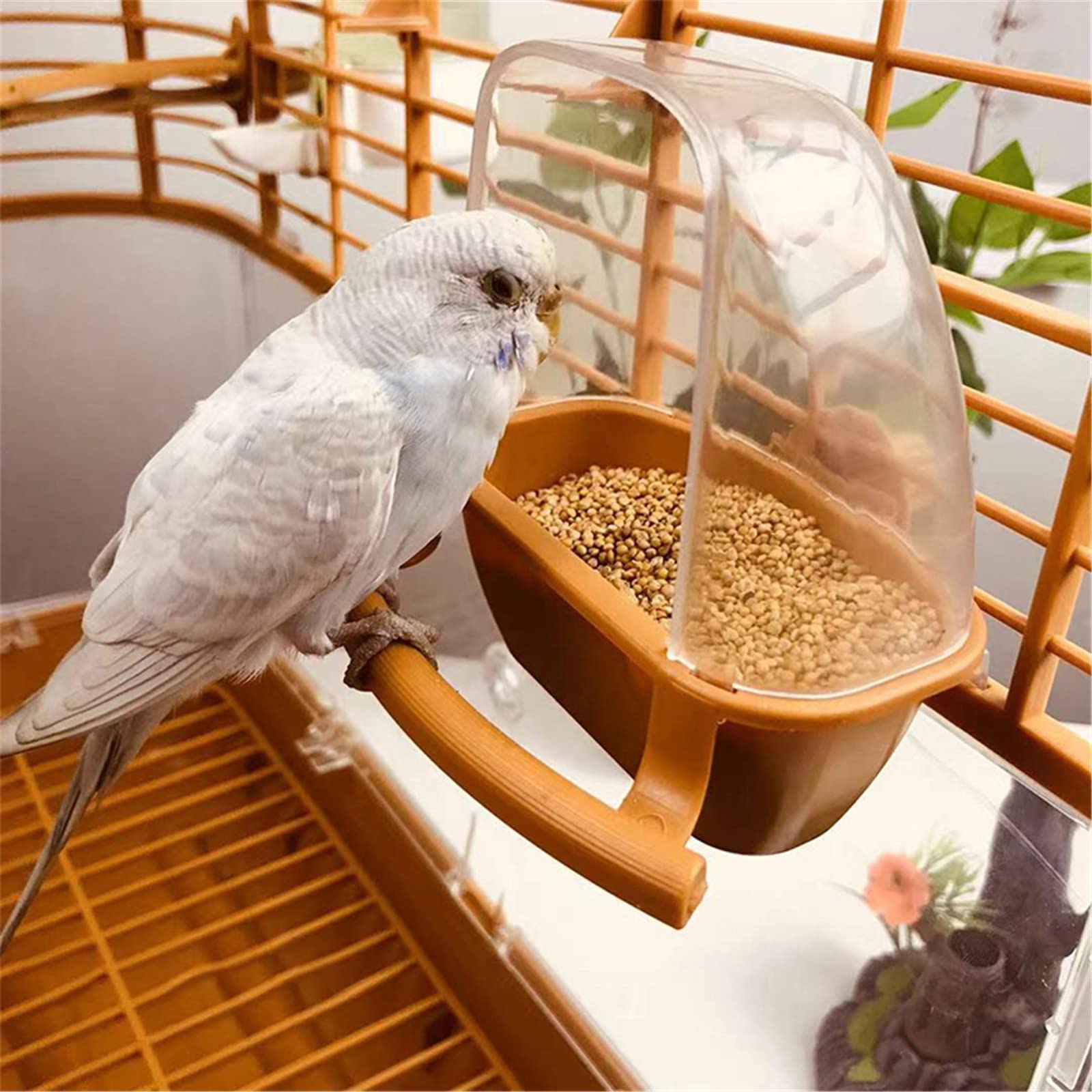 Amazon | 鳥 エサ入れ 水入れ プラスチック 小鳥 インコ 餌入れ 給餌器