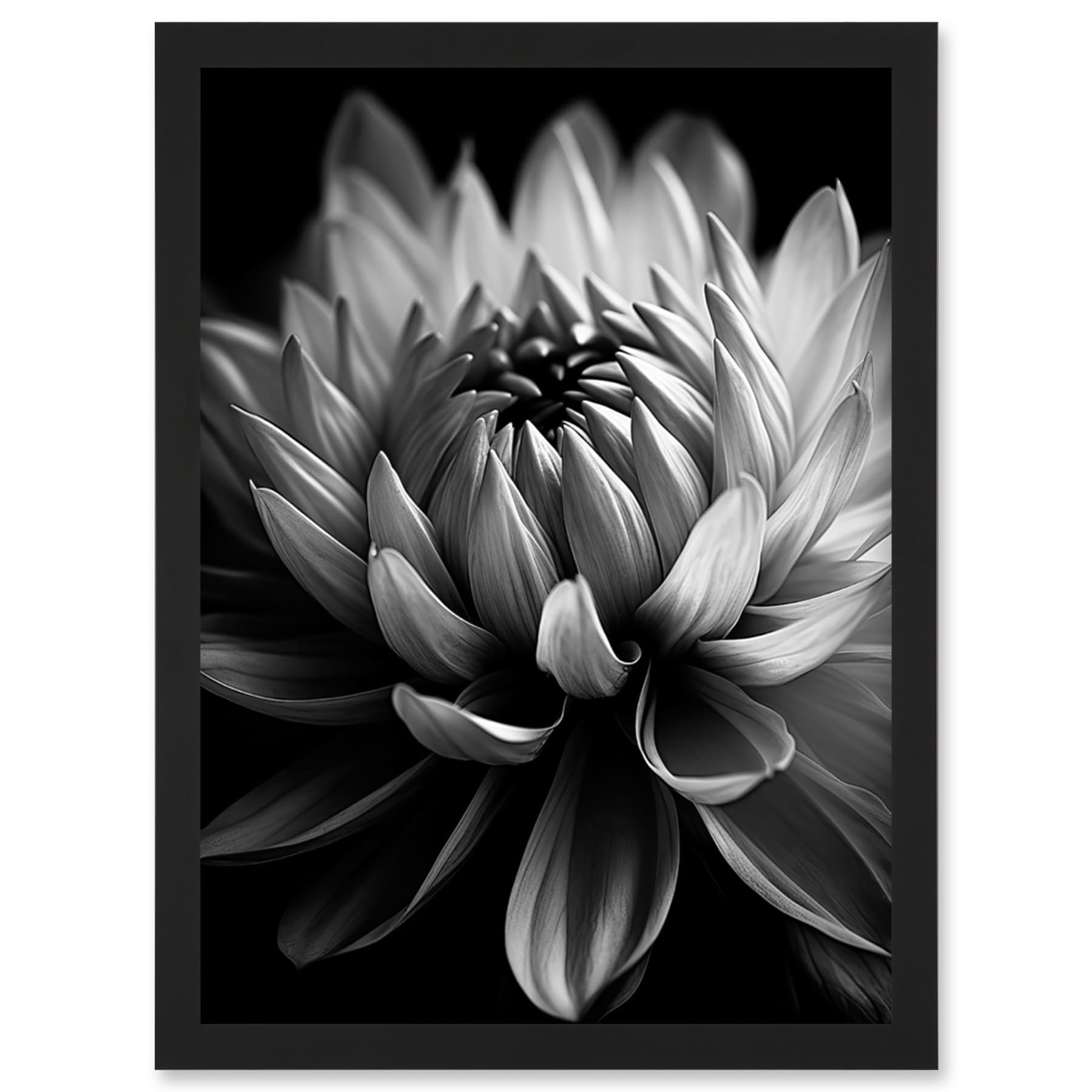 Artery8 Macro Close Up Dahlia Flower Black and White Photo Artwork Framed Wall Art Print A4