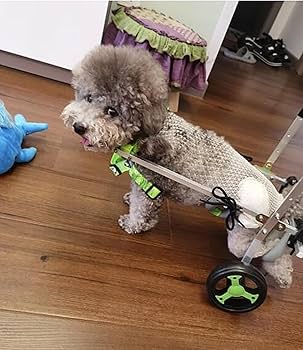 犬用車いす 黒と白のチェック柄 Amazon.co.jp: monozu 犬用車椅子 車いす ペット 犬 歩行器 犬