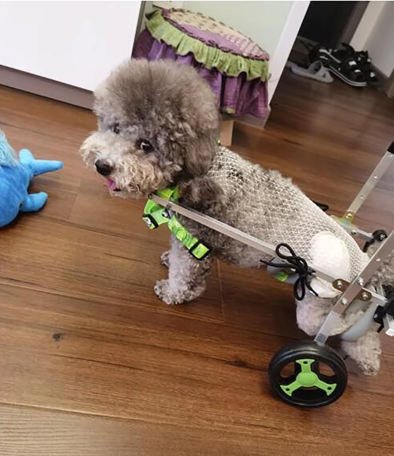 Amazon.co.jp: 犬 車椅子 前足/後足用の調節可能な犬用車椅子、軽量の4