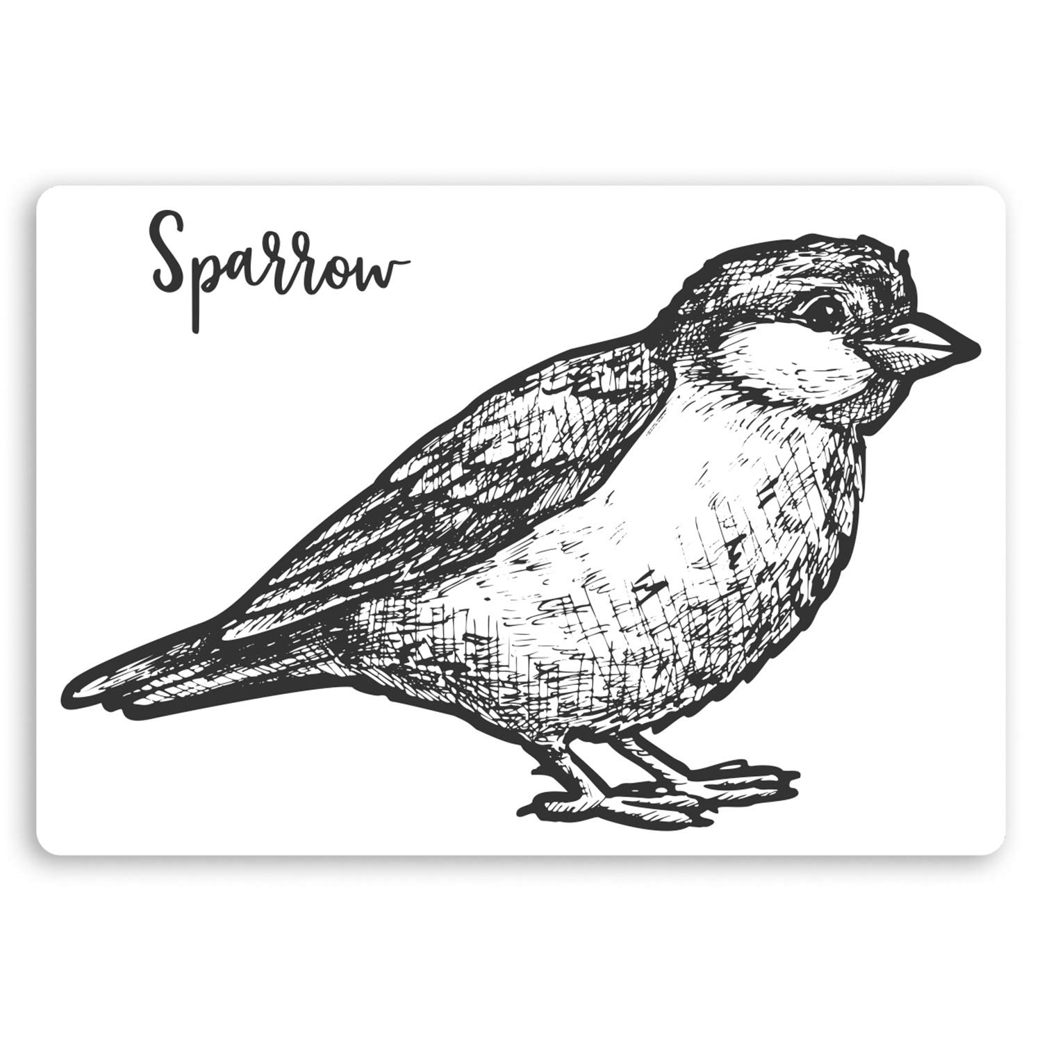 Destination Vinyl Ltd Multi 2 X 10Cm Sparrow Bird Drawing Vinyl Stickers - Art Wildlife Sticker #34373 (10Cm Wide)