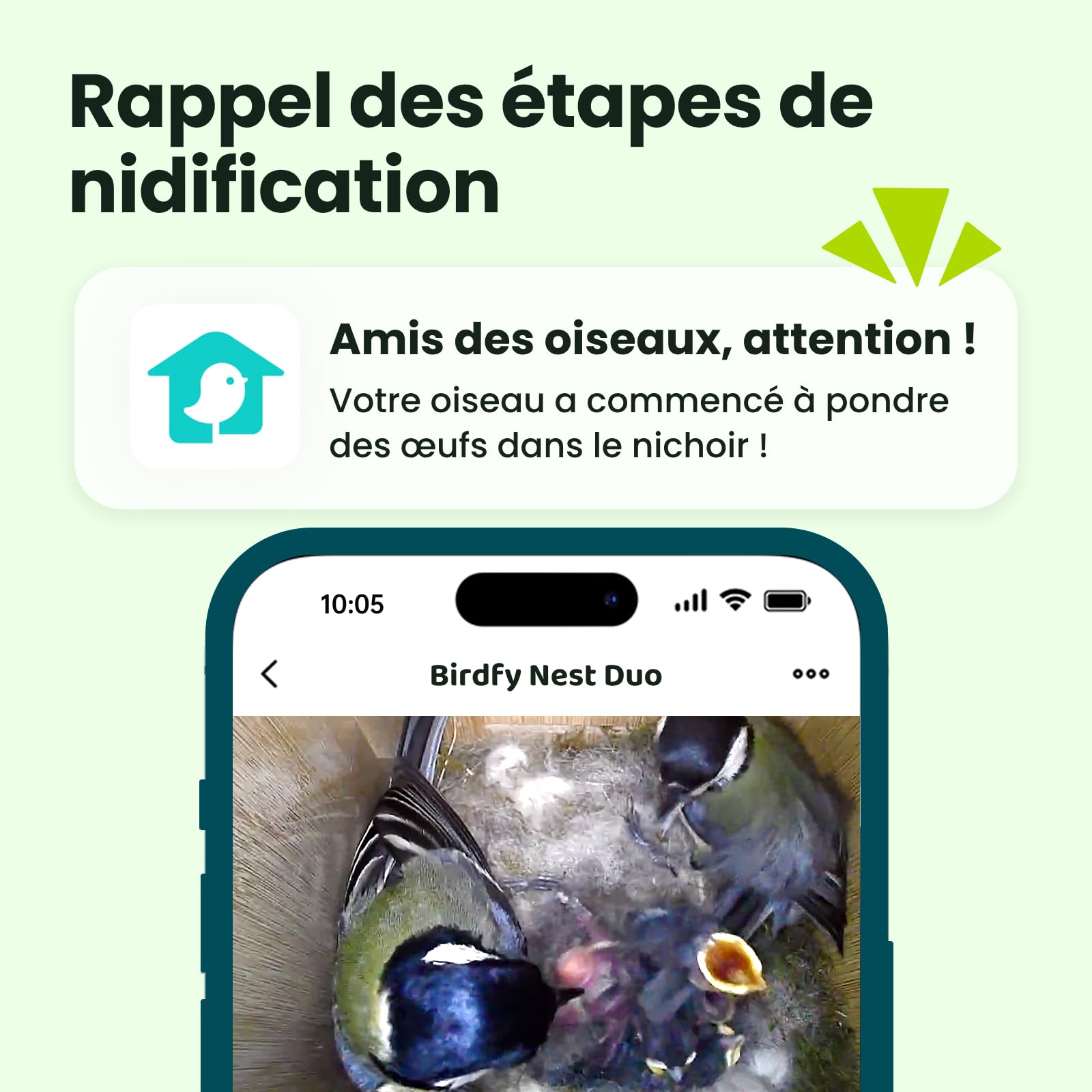 Birdfy Nichoir Oiseaux avec Double Camera pour l'observation en Direct, 1080P Bambou Nichoir Mesange avec Vision Nocturne, Analyse du Comportement par IA avec Alertes et Enregistrements Automatiques