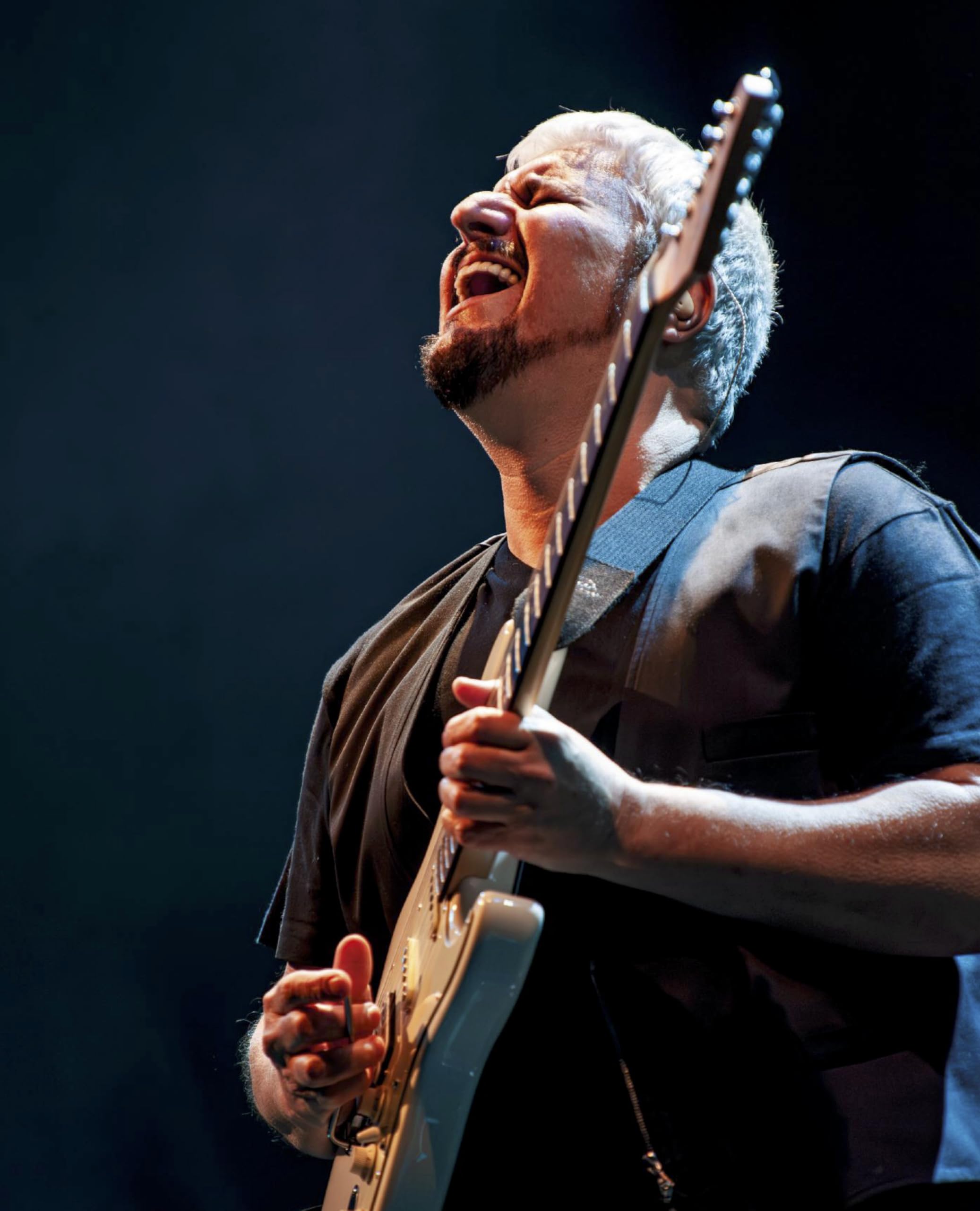 Pino Daniele. Access all areas. Ediz. illustrata