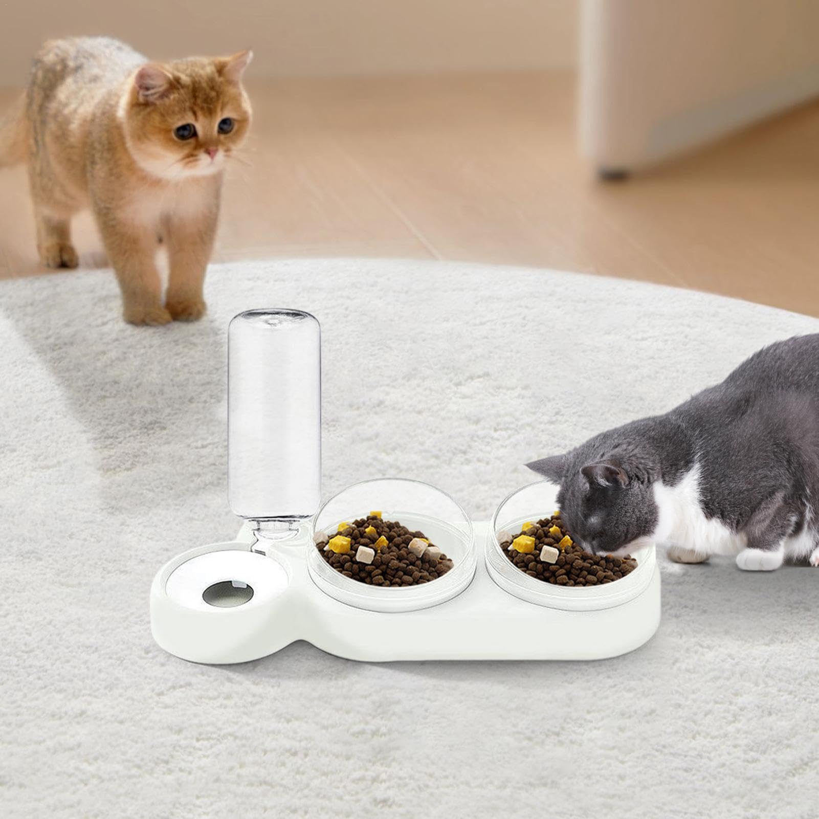 Amazon | 猫の水と餌のボウル、猫用の餌と水のディスペンサー | 猫用