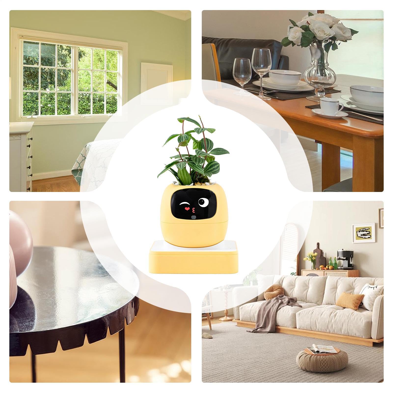 Maceta Inteligente con Asistente IA Jardineras Con IA Inteligente Para | Tiesto Pequeño Para para Interiores Principiantes Día de la Madre Jardín Balcón Dormitorio